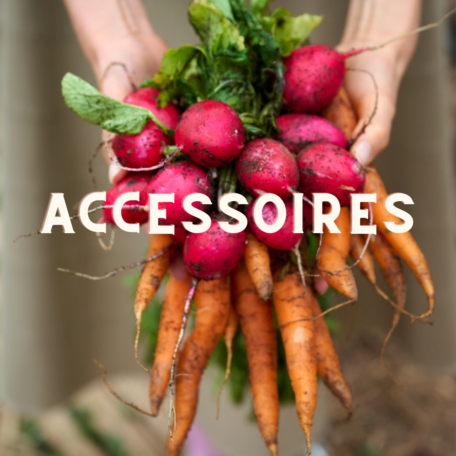 Accessoires
