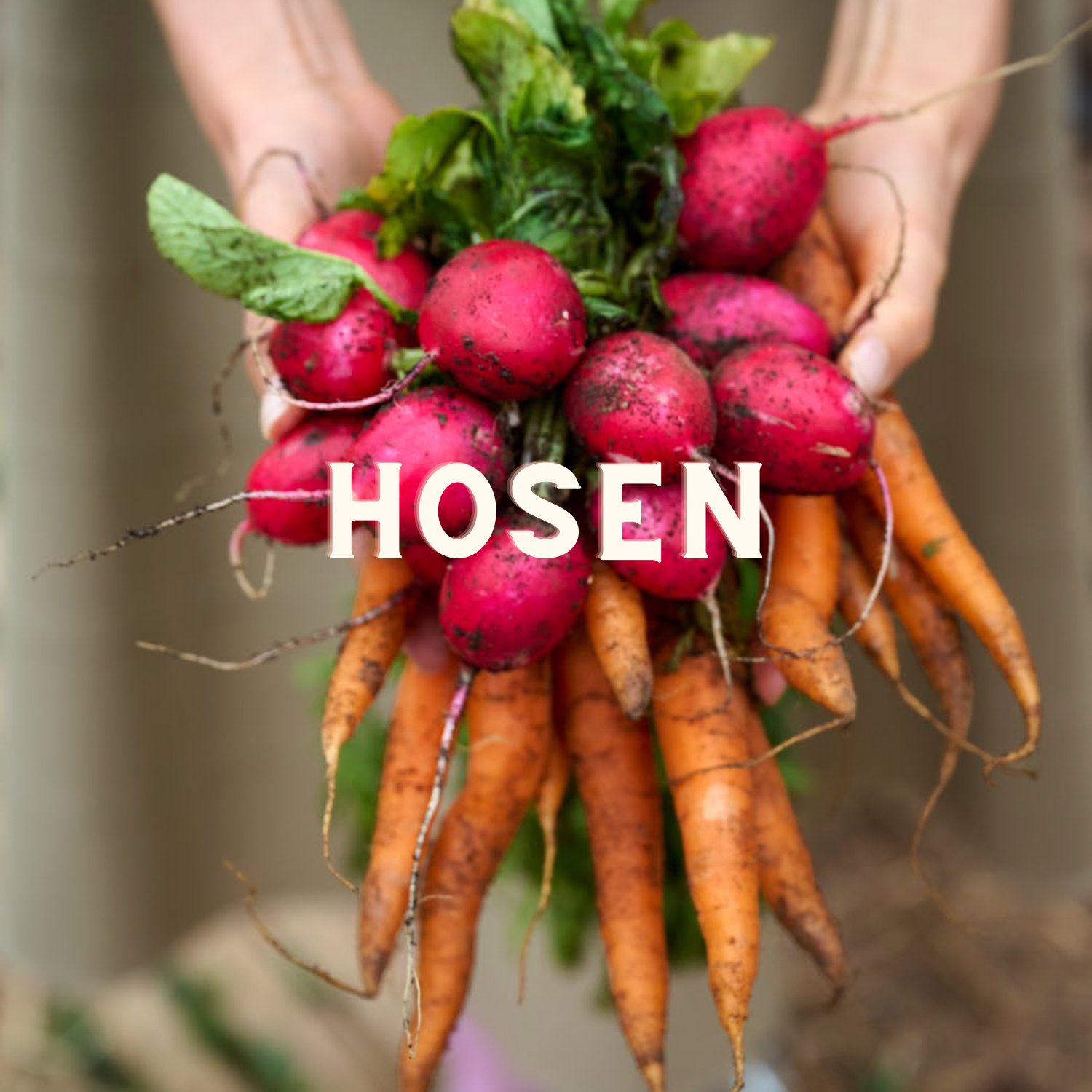 Hosen
