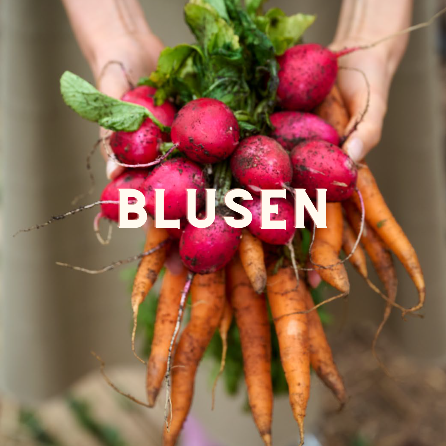 Blusen