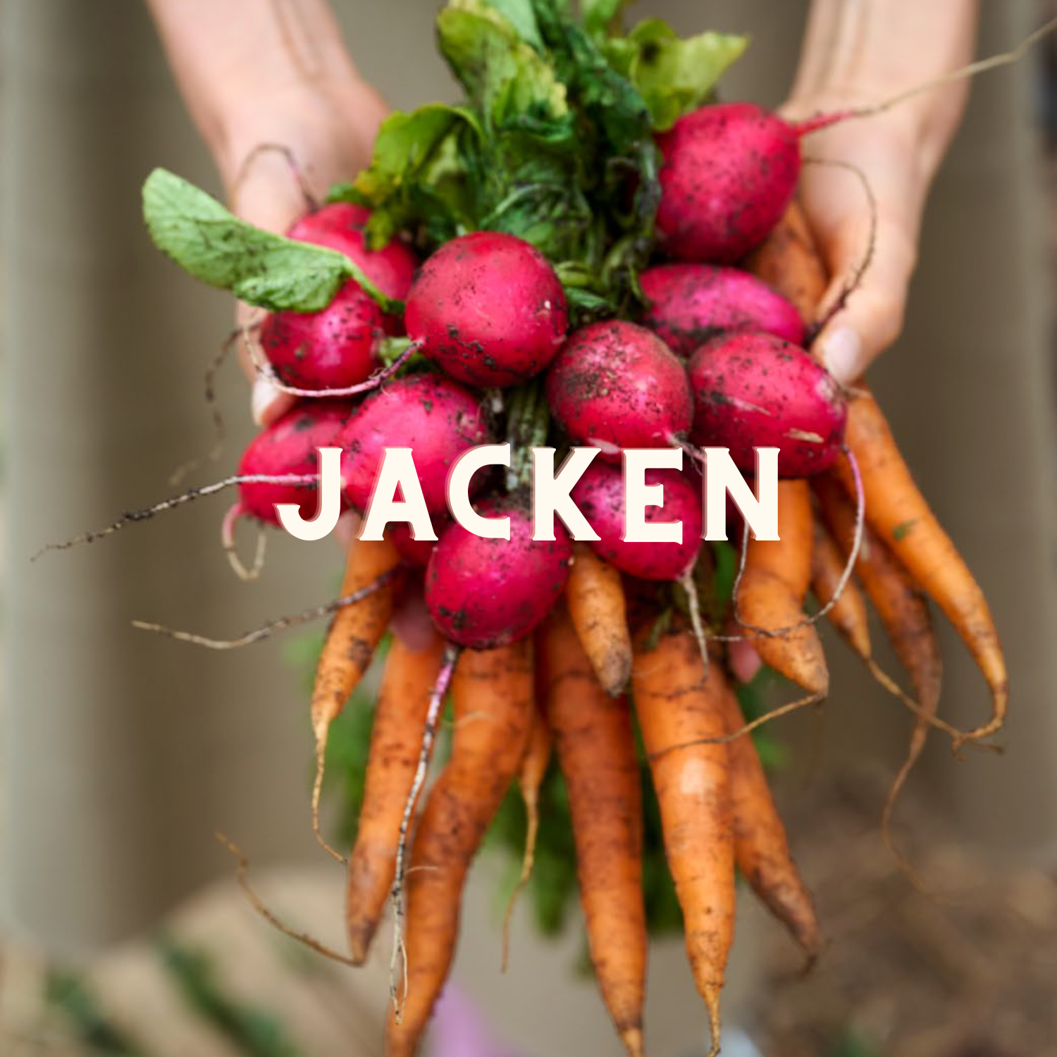Jacken