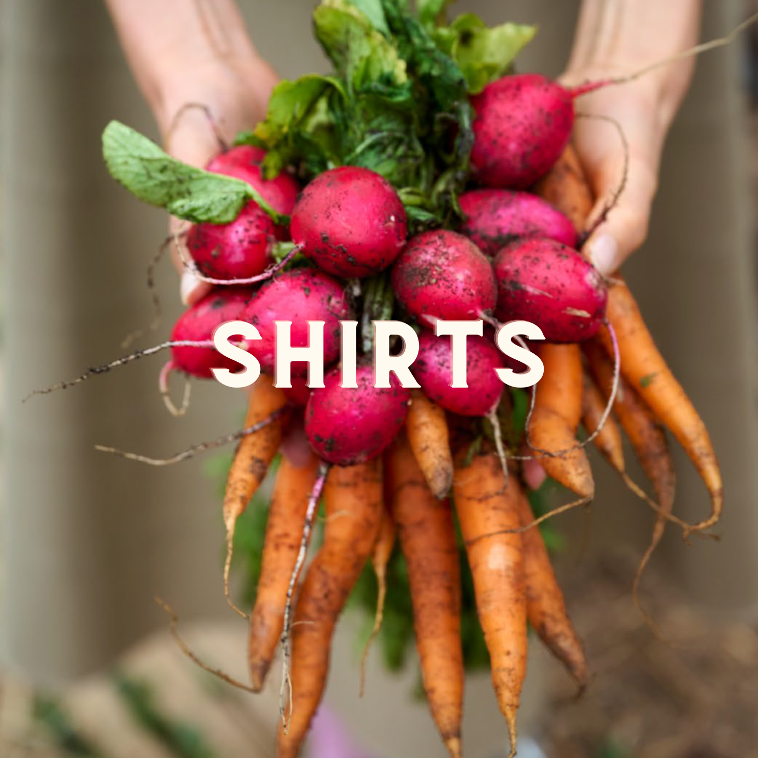 Shirts