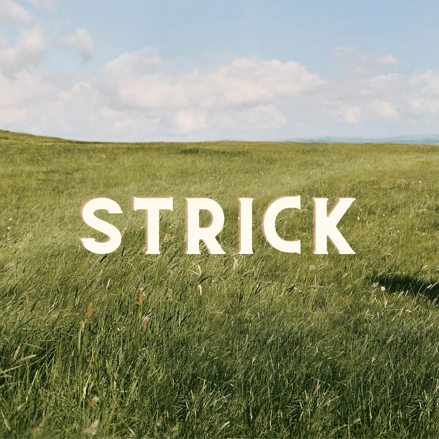 Strick VON&ZU
